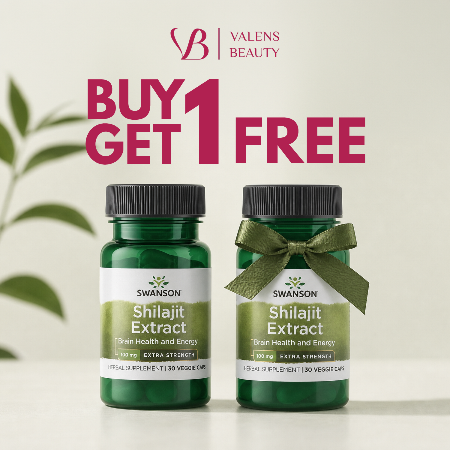 shilajit capsules swanson