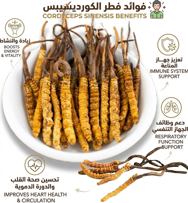 فطر كورديسيبس